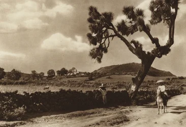 Mexiko: Patzcuaro, Der Kalvarienberg, Staat Michoacan