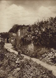 Mexiko: Malerische Ecke in San Angel D F