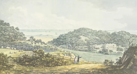 Panoramische 