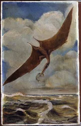 Ein Pterodaktylus. ca. 1880