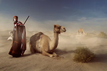 Arabischer Wüstenreisender
