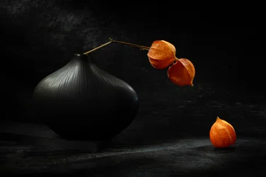 Schwarze Vase, orangefarbene Laternen