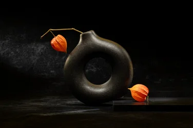 Elegantes dunkles Stillleben