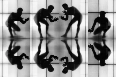 Dynamische Silhouetten reflektiert