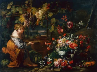 Junges Mädchen beim Traubenpflücken