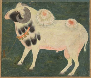 Ein königlicher Widder mit einer Goldkette, ca. 1585