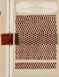 Grobe Baumwollturbaneprobe aus Sydapet in Madras, aus The Collection of the Textile Manufacturers of India, von John Forbes Watson, veröffentlicht 1866