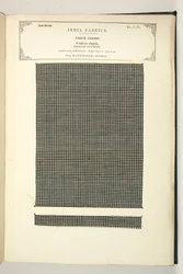 Baumwollkaro, Masulipatam, Madras, Stückwaren, aus der Sammlung der Textilhersteller Indiens, von John Forbes Watson, veröffentlicht 1866