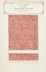 Baumwolldruckprobe aus Bellary in Madras, aus The Collection of the Textile Manufacturers of India, von John Forbes Watson, veröffentlicht 1866