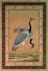 Kraniche von Mansur, Jahangir-Periode, Mughal