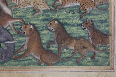 (Detail) Der Schakal, der sich selbst zum König erklärte, ca. 1560-65