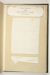 Gurrah-Stoff, Patna, Bengalen, aus der Sammlung der Textilhersteller Indiens, von John Forbes Watson, veröffentlicht 1866