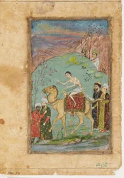 Majnun auf einem Kamel