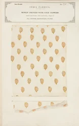 Bestickte Musselinprobe aus Madras, aus The Collection of the Textile Manufacturers of India, von John Forbes Watson, veröffentlicht 1866