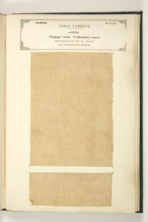Punjum-Stoff, Vizagapatam, Madras, aus der Sammlung der Textilhersteller Indiens, von John Forbes Watson, veröffentlicht 1866