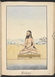 Der Weise Sringi