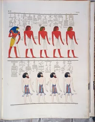 Die verschiedenen Menschentypen, die den Ägyptern bekannt sind, dargestellt im Grab von Menphtah I, Illustration aus 
