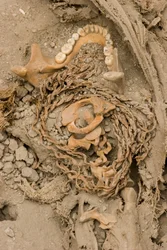 Die Überreste des weiblichen Opfers, 2005