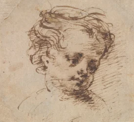 Kopf eines Kindes, das nach rechts schaut