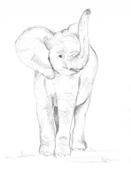 Elefantenbaby 02