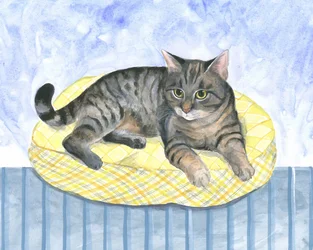 Kissenkatze