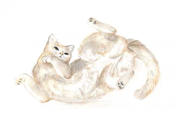 Verspielte Katze