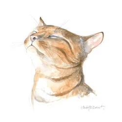 Gelassene getigerte Katze