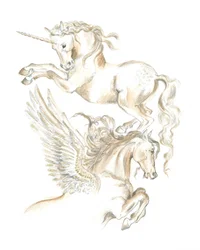 Einhorn und Pegasus