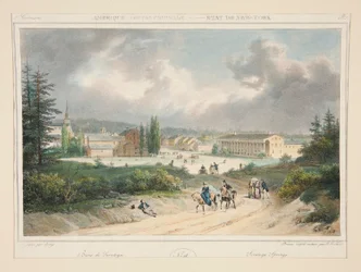 Nordamerika - Staat New York. Nr. 18, pl.2