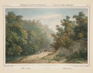 Nordamerika - Staat New Jersey. Nr. 49, Tafel 1