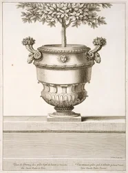 Bronzene Urnen für Zitrusbäume, Illustration aus 