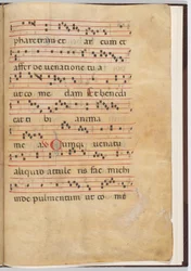 Blatt 8 aus einem Antiphonar-Fragment