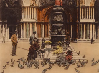 Venedig: Tauben