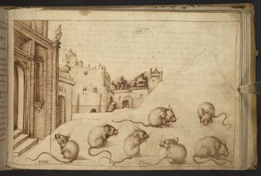 Mäuse (