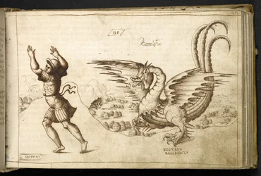 Drache aus 