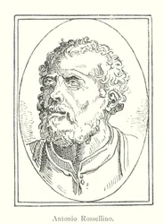 Antonio Rossellino (Stich)