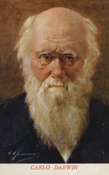 Charles Darwin (1809-1882), englischer Naturforscher