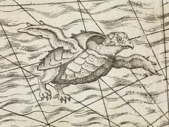 (Detail) einer fliegenden Schildkröte auf einer Karte von Nordeuropa, aus 