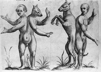 Verschiedene Arten von menschlichen Monstern: Zwei Kreaturen mit doppelten Körpern, halb Mensch und Hund (Siamesen). Gravur aus „De monstrorum natura, causis et differentiis“ von Fortunio Liceti (1577-1656), italienischer Wissenschaftler. 1646