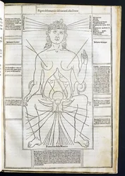 Weibliche Anatomie aus Fasciculus Medicinae von Johannes de Ketham (gest. um 1490) um 1507