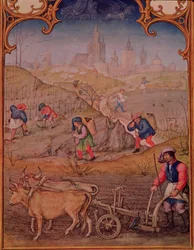 Fol.3v Monat März: Arbeit auf den Feldern, aus Breviarum Grimani
