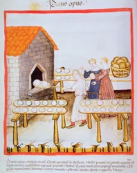 Backen von Schwarzbrot, Illustration aus Tacuinum Sanitatis