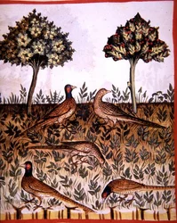 Fol.68v Fasane, Illustration aus 