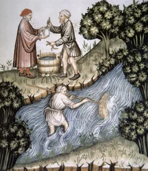 Fischen, Illustration aus Tacuinum Sanitatis Codex Vindobonensis