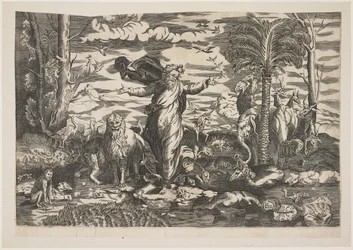 Gott erschafft die Tiere, um 1550
