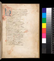 Ms 315. Horaz, Ars Poetica und Epistulae, f.1r. Verzierte Initiale [N] in blau und rot mit umliegendem Federwerk in rot