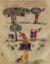 Ms Grec 479 Vogeljagd, Illustration wahrscheinlich aus dem Ixeutika von Oppian