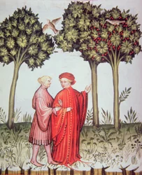 Nova 2644 fol.102v Zwei Freunde gehen zusammen spazieren, aus Tacuinum Sanitatis Codex Vindobonensis