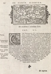 Seite 740 aus Historia De Gentivus Septentrionalibus von Magnus Olaus, Rom 1565