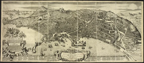 Plan und Aufriss der Stadt Neapel ... von P. Petrini. Neapel